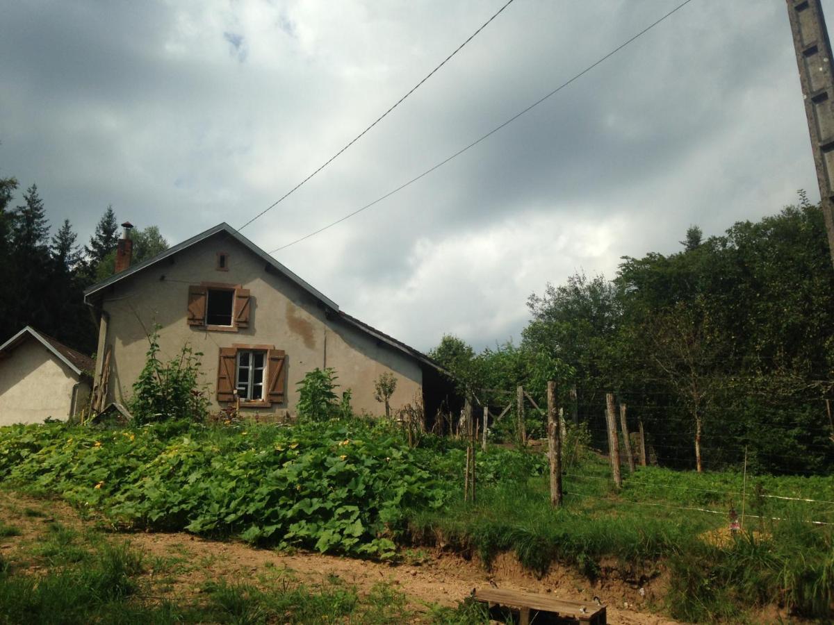 A L'Oree De Soi: Eco-Friendly Forest Retreat in the Vosges Saint-Sauveur  Exterior photo