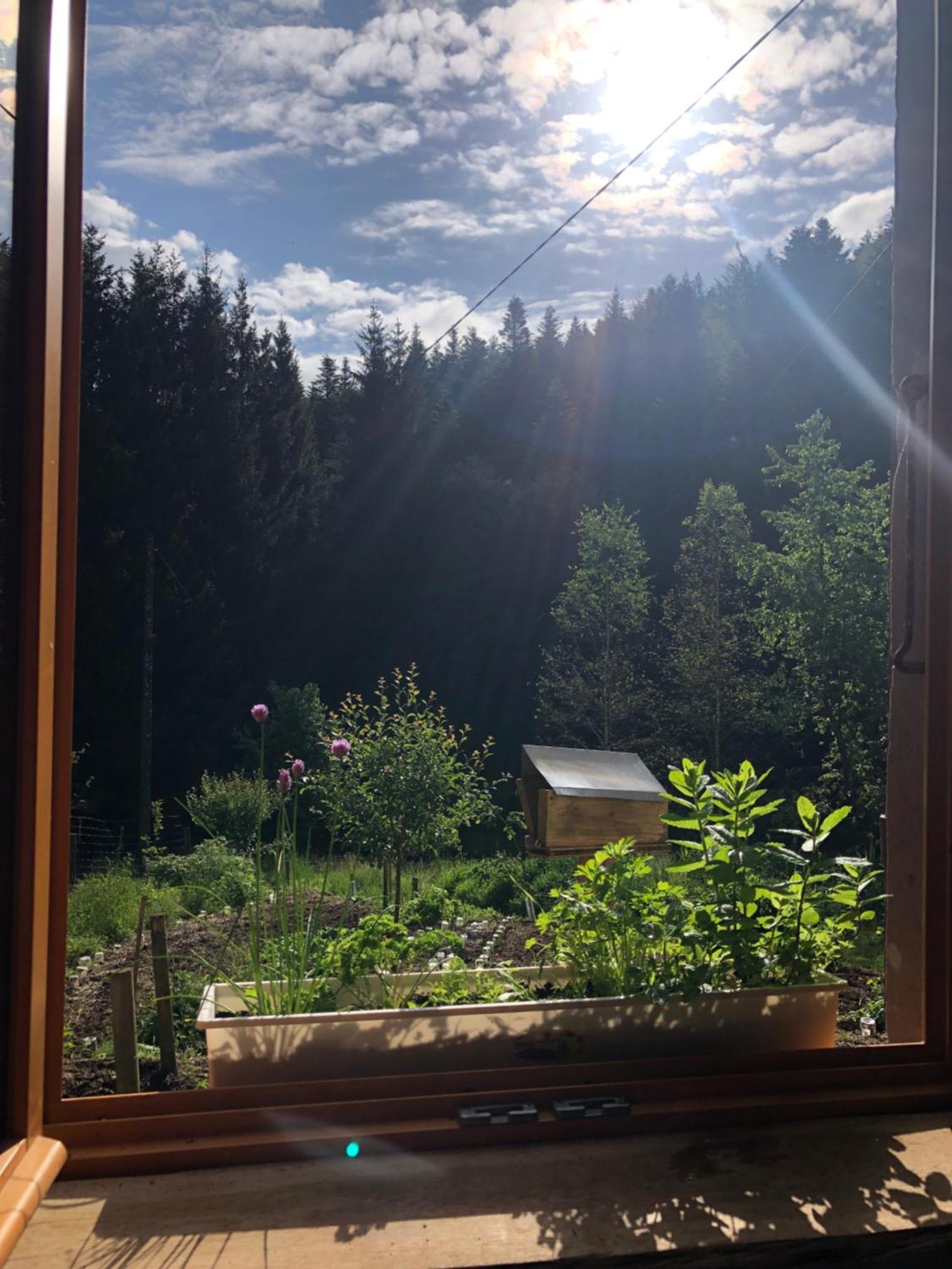 A L'Oree De Soi: Eco-Friendly Forest Retreat in the Vosges Saint-Sauveur  Exterior photo