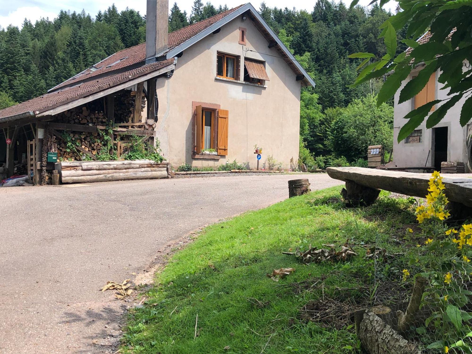 A L'Oree De Soi: Eco-Friendly Forest Retreat in the Vosges Saint-Sauveur  Exterior photo