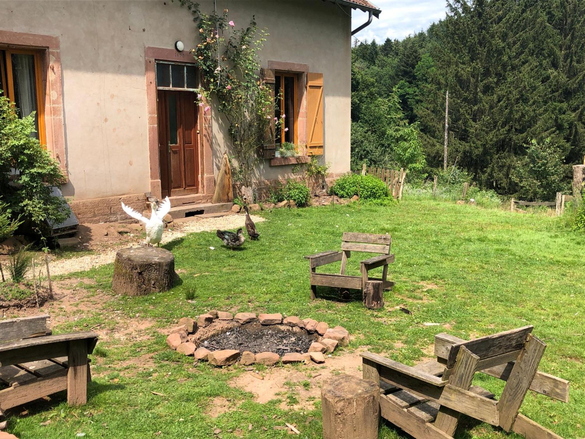 A L'Oree De Soi: Eco-Friendly Forest Retreat in the Vosges Saint-Sauveur  Exterior photo